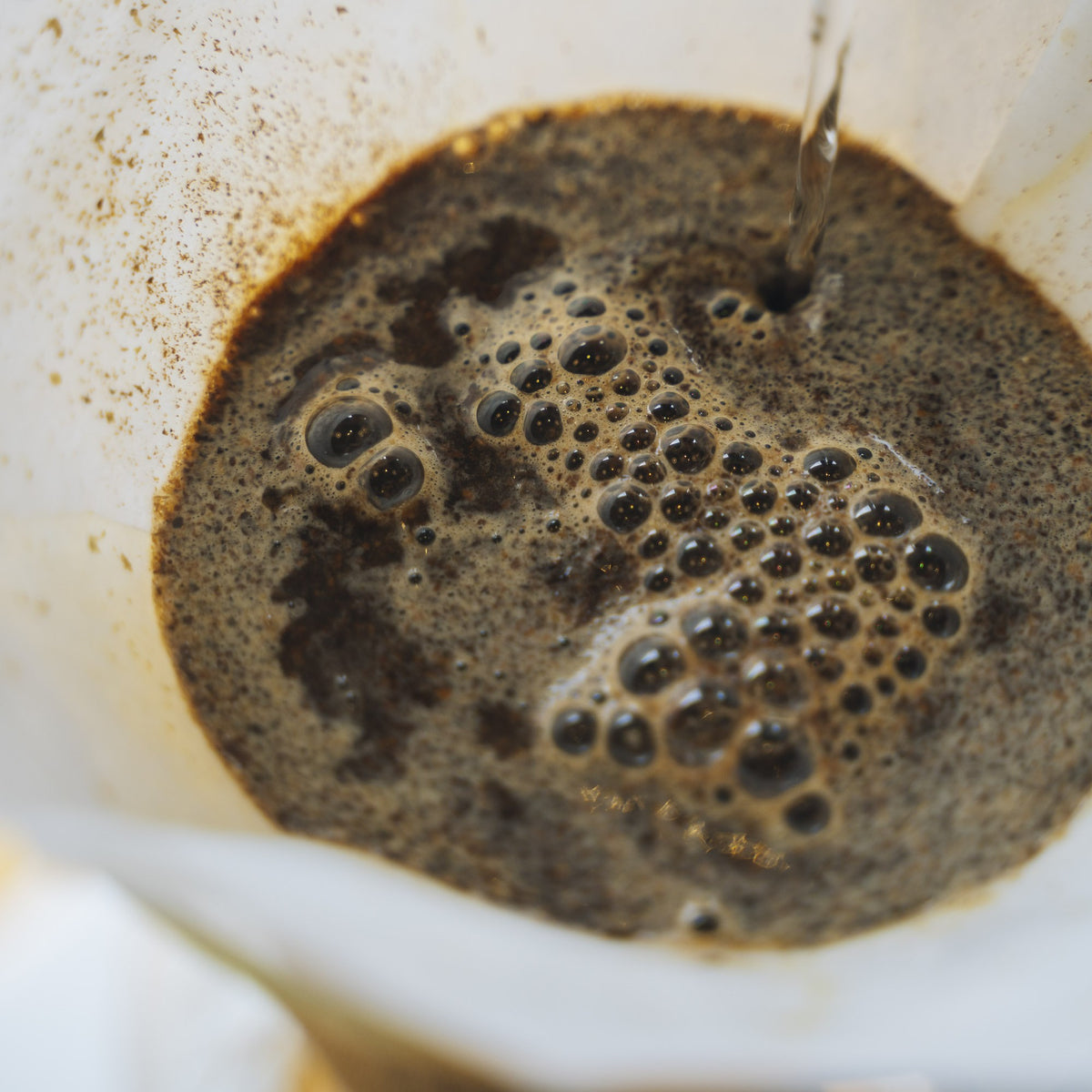 Chemex Filters